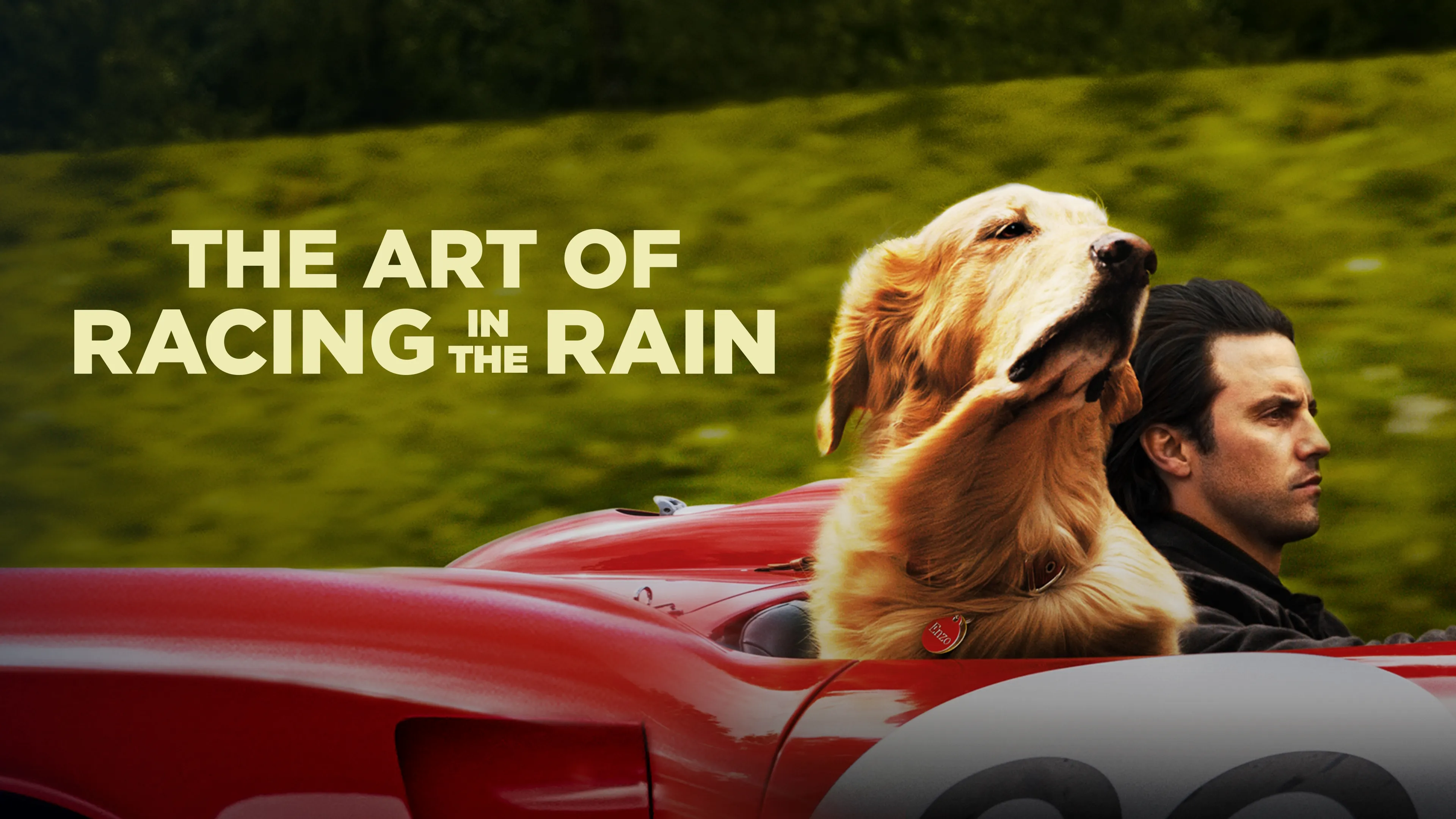 The Art of Racing in the Rain (2019)
