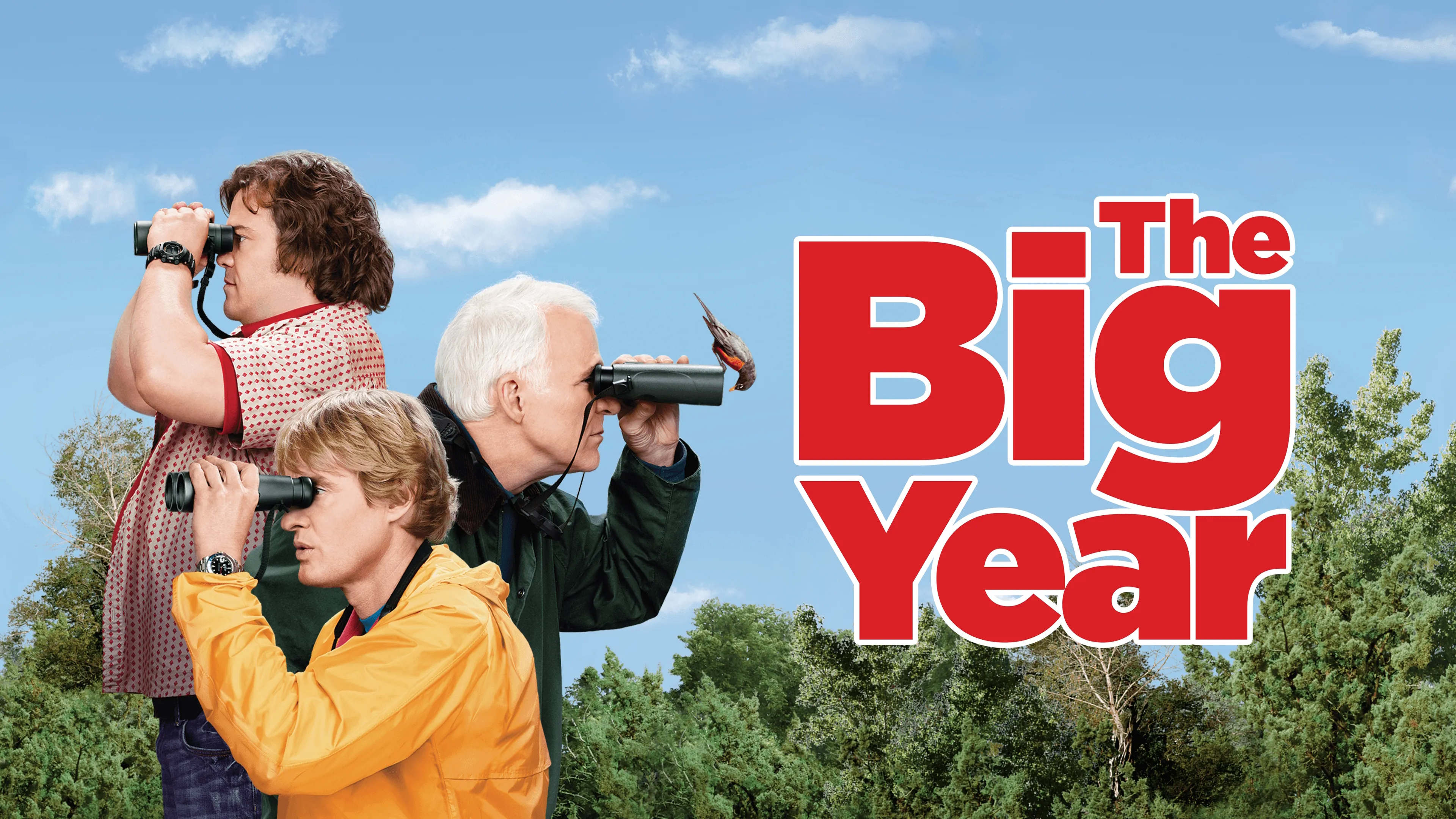 The Big Year (2011)