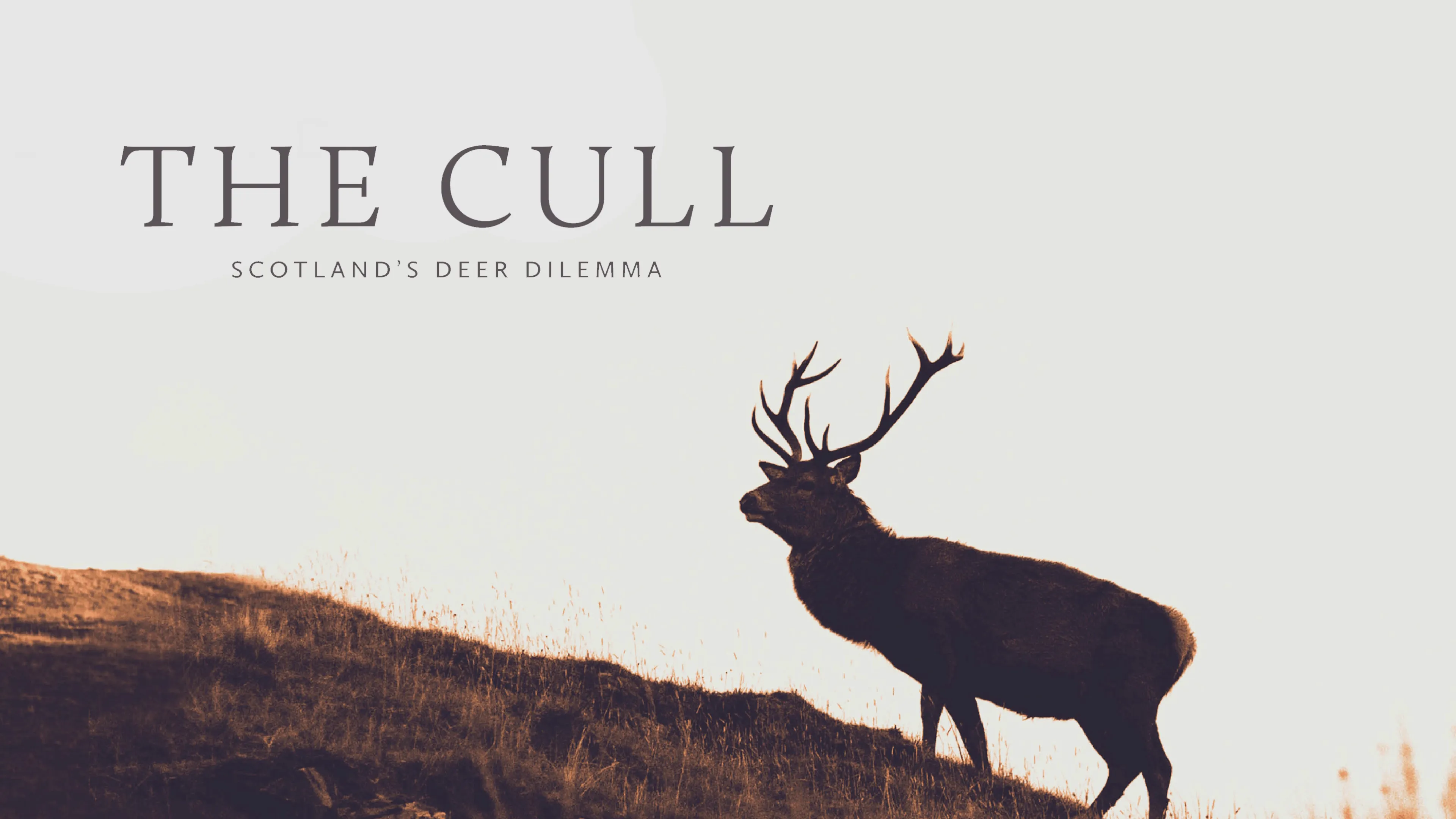 The Cull: Scotland's Deer Dilemma (2020)