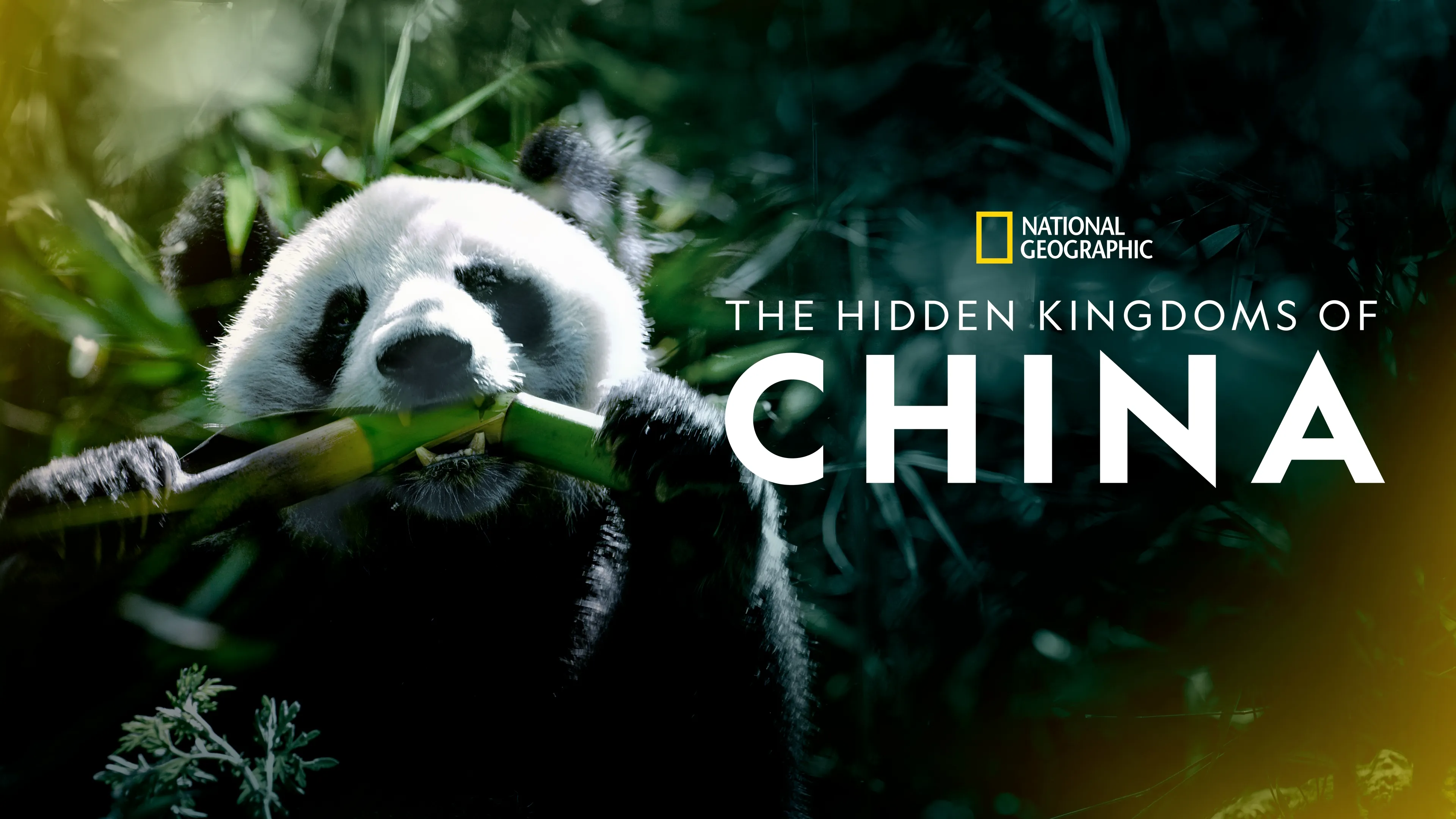 The Hidden Kingdoms of China (2020)