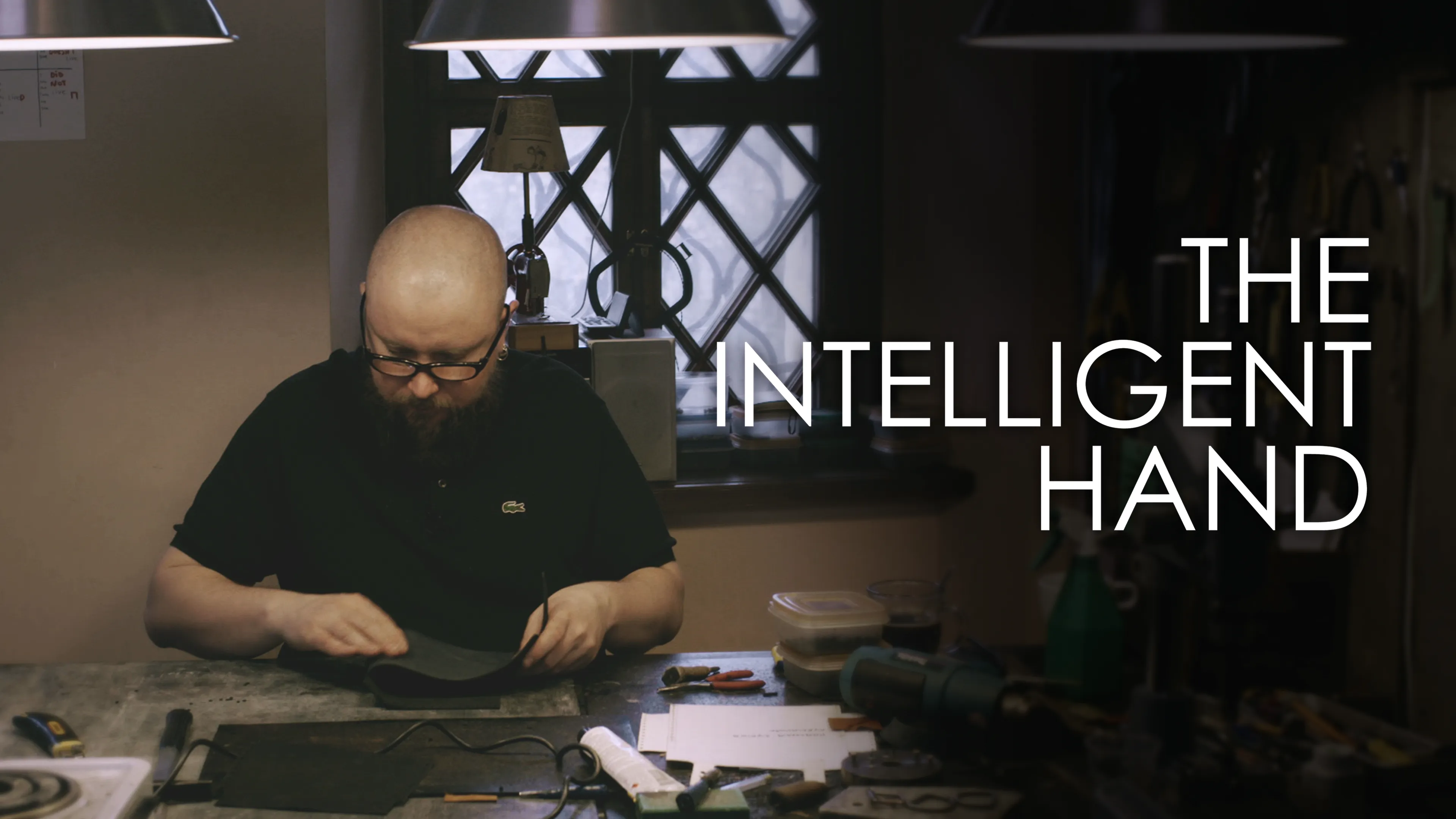 The Intelligent Hand (2015)