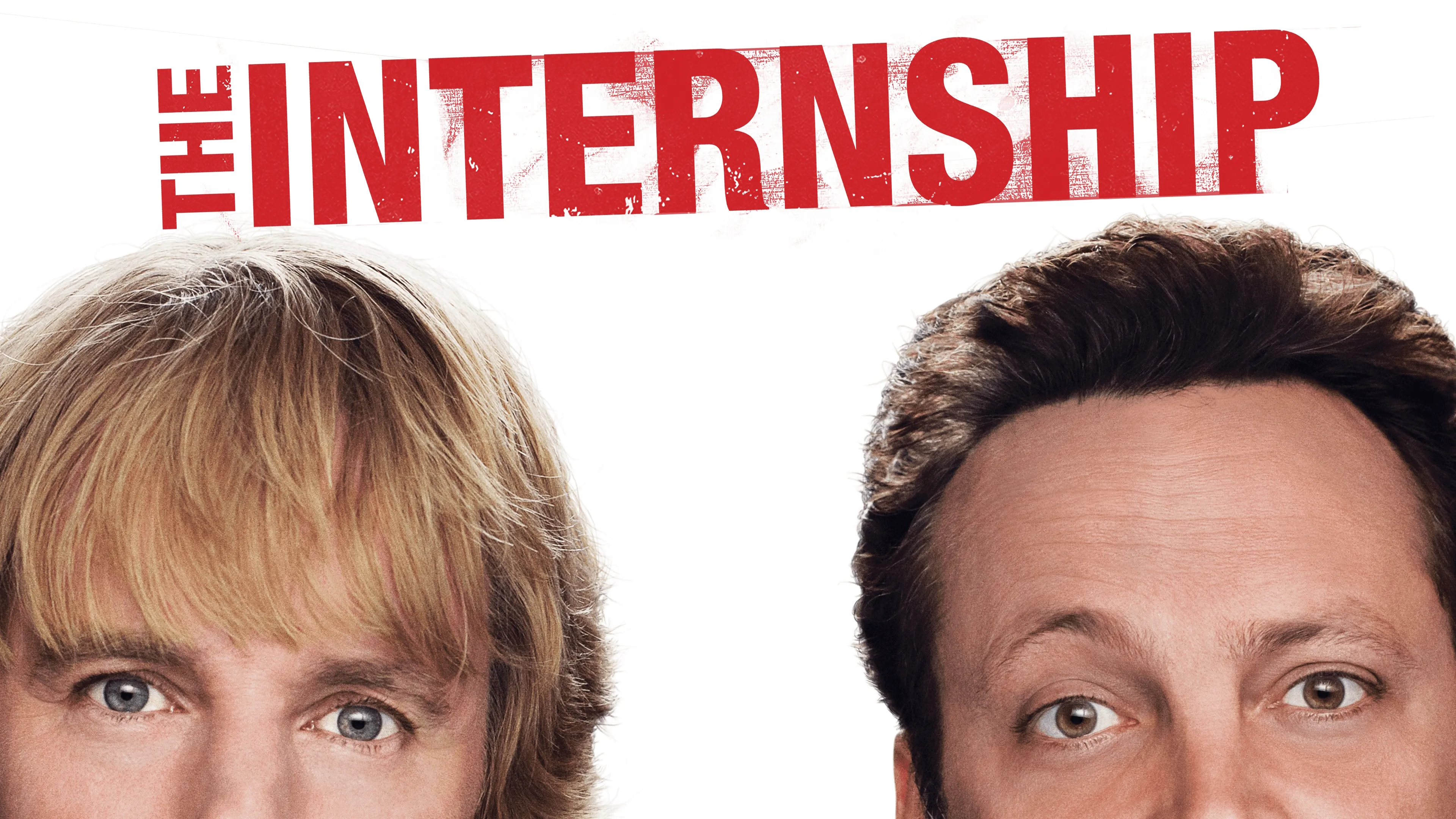 The Internship (2013)