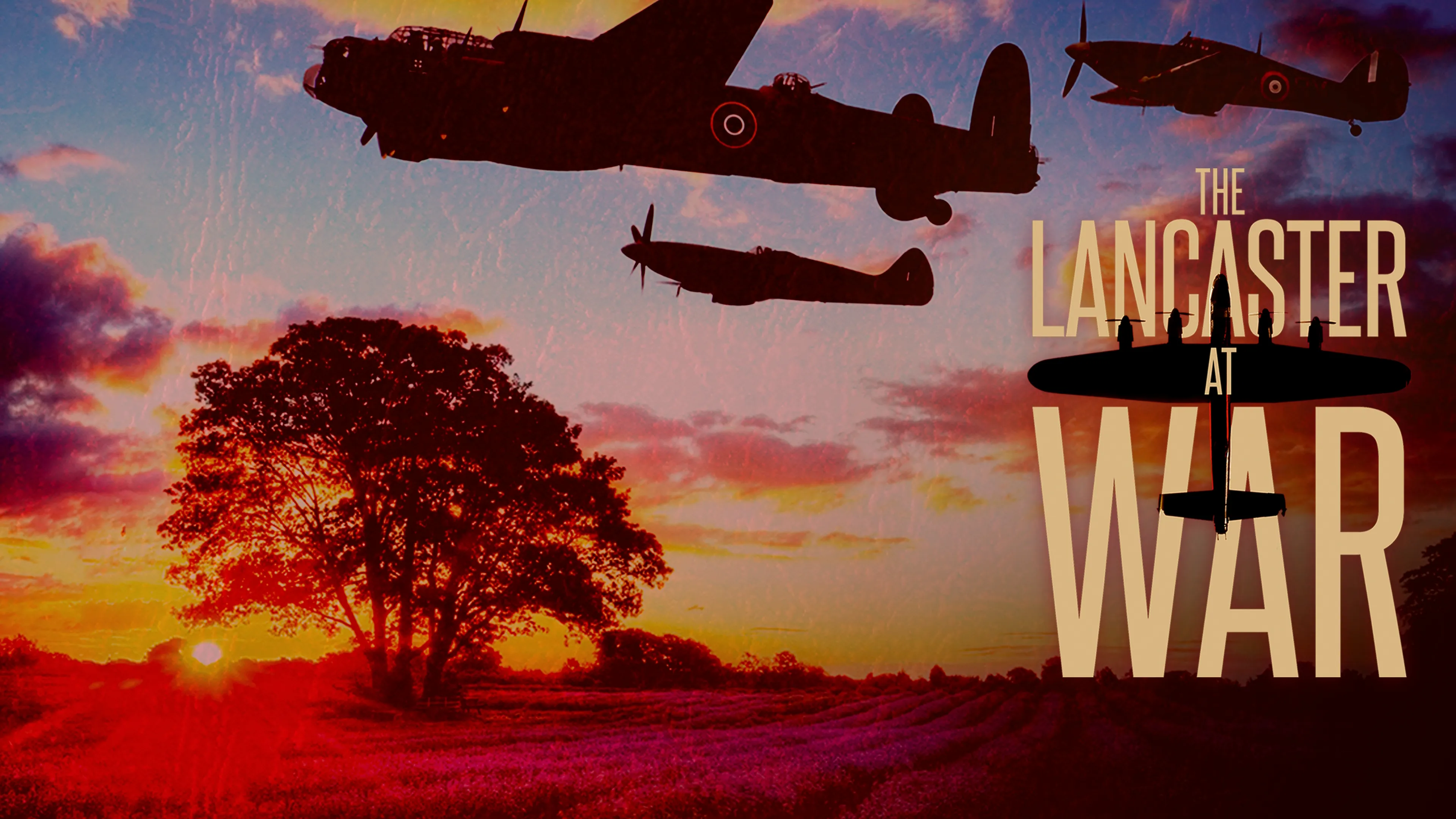 The Lancaster at War (2010)