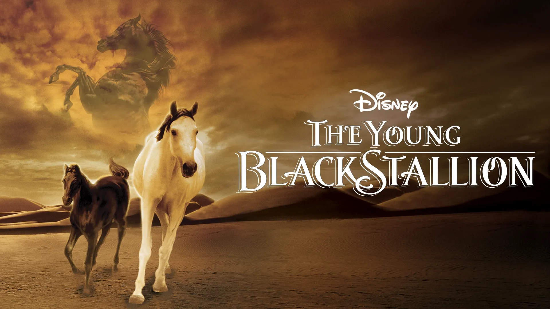 The Young Black Stallion (2003)