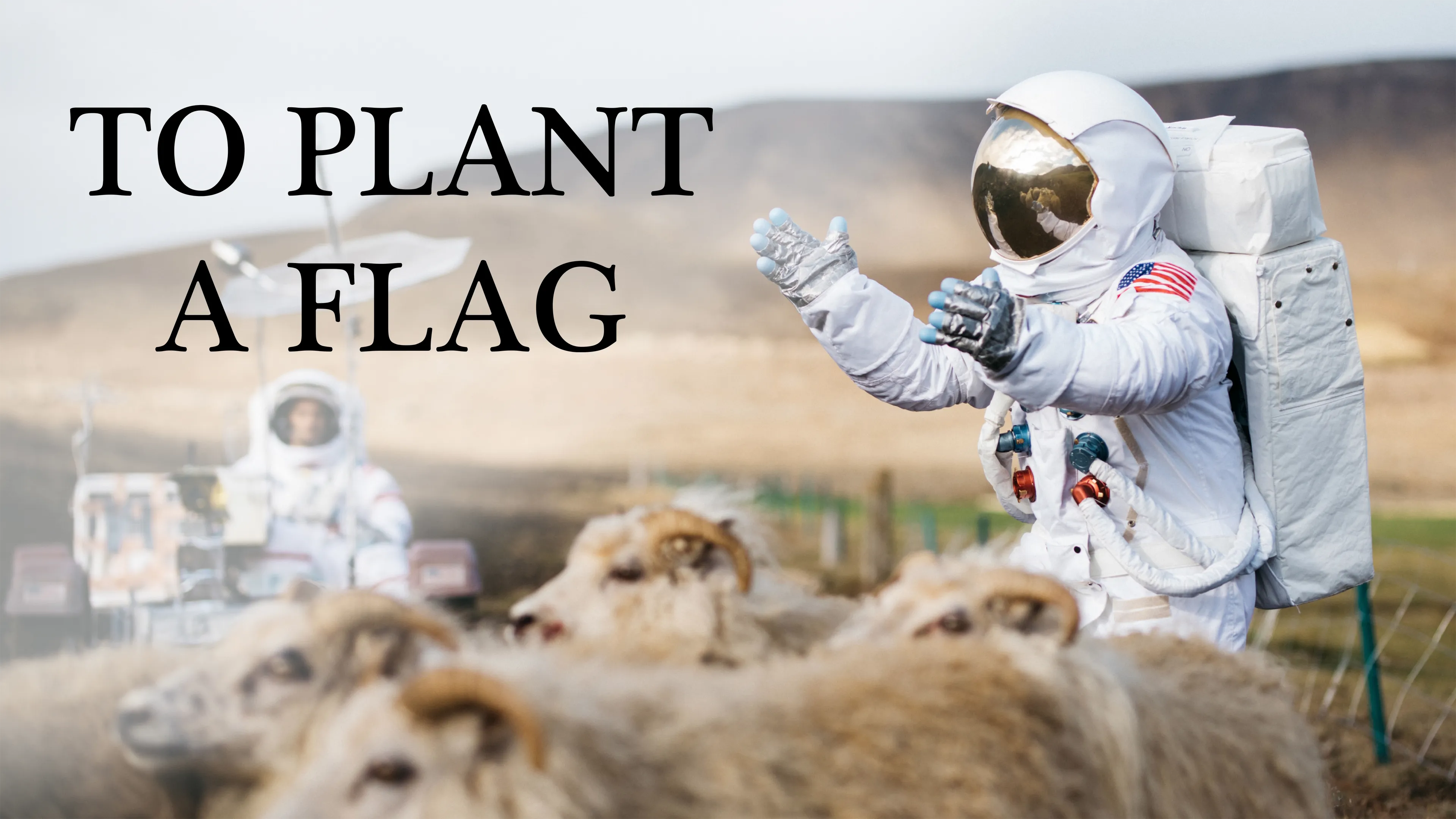 To Plant a Flag (2018)