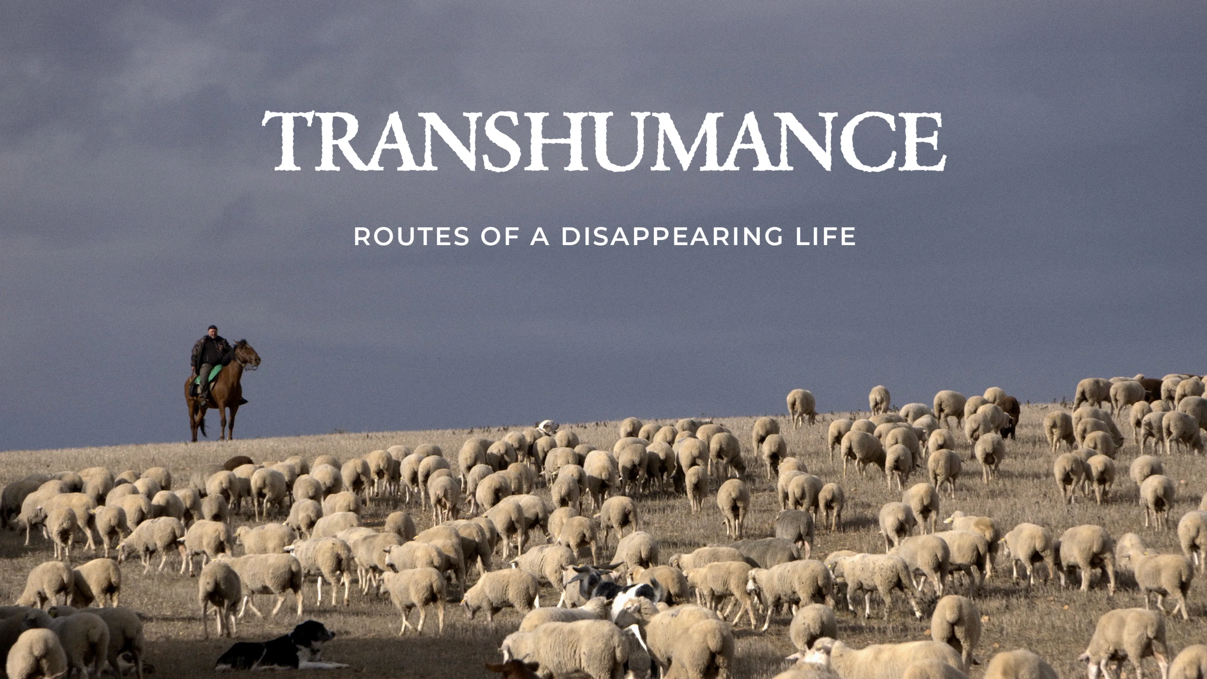 Transhumance - Routes of a Disappearing Life (2021)