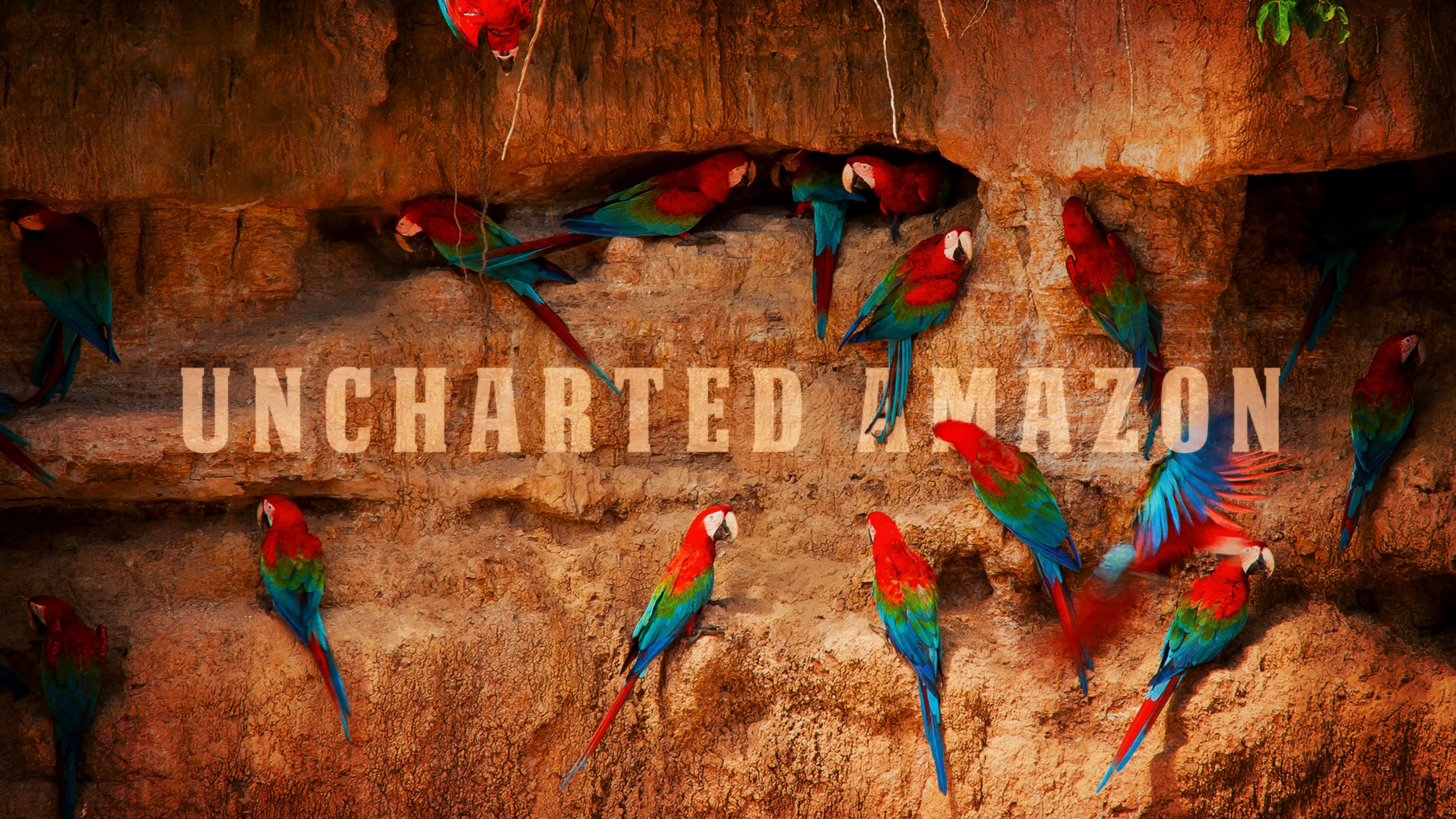 Uncharted Amazon (2015)