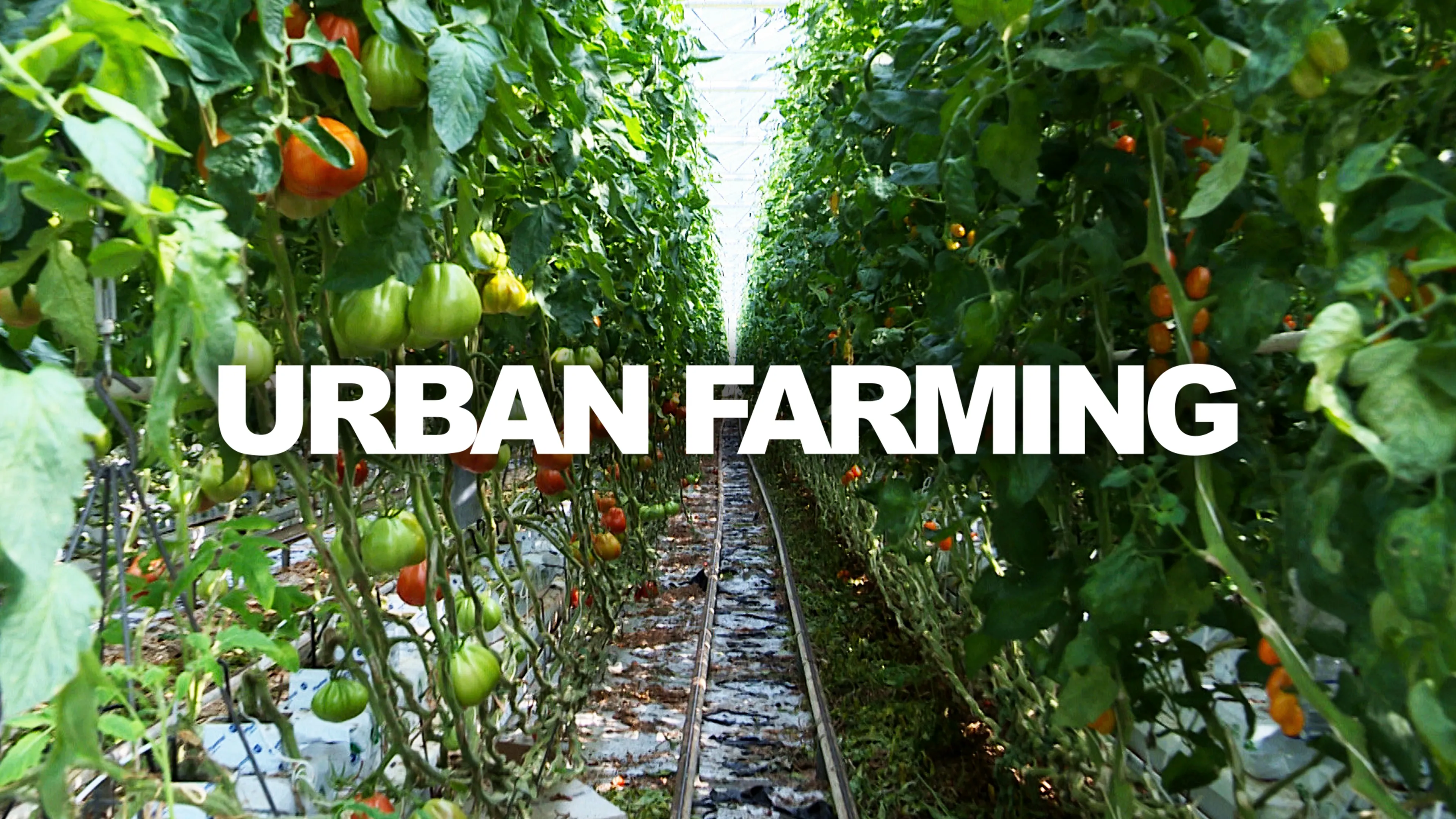 Urban Farming (2021)