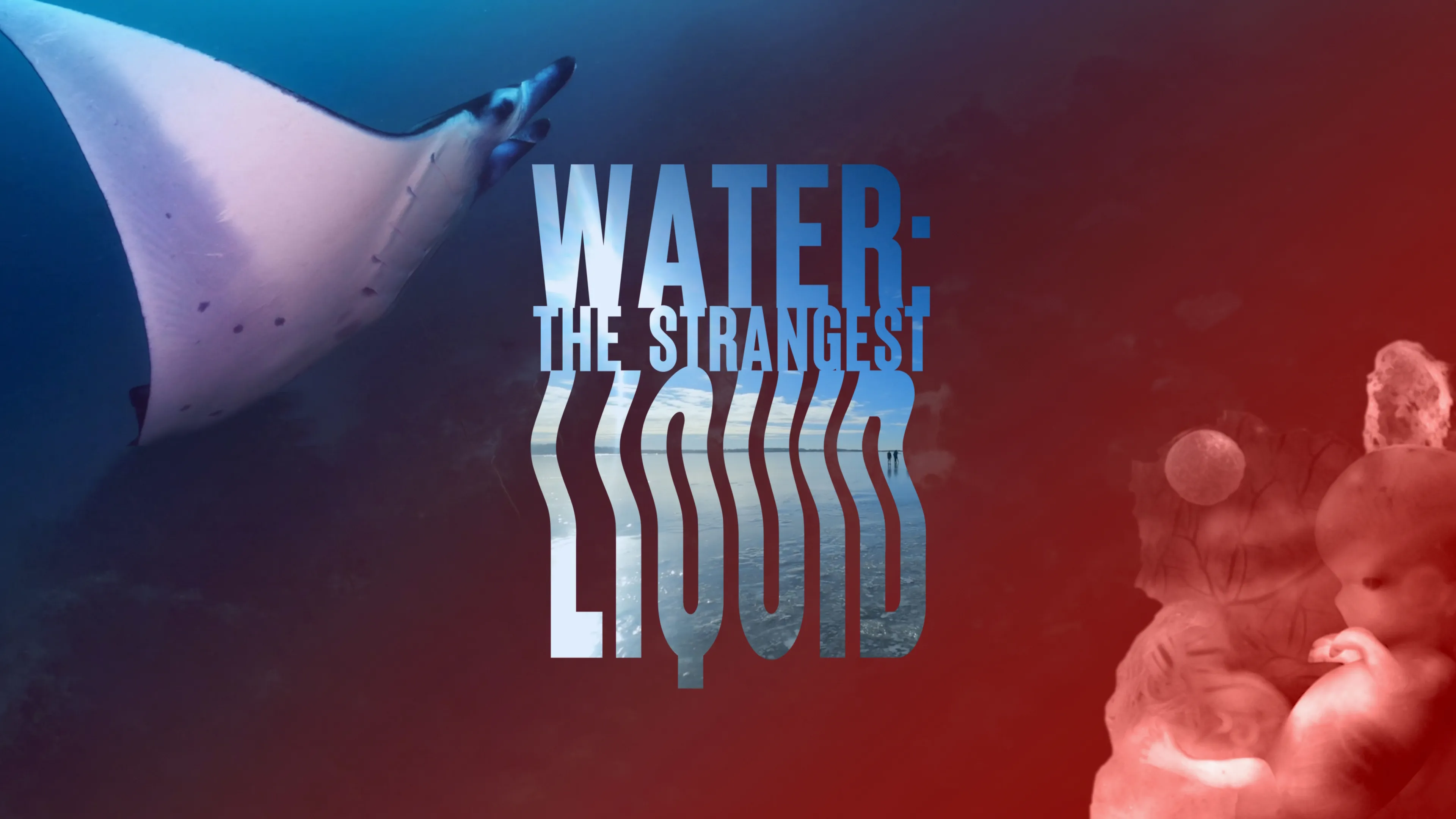 Water: The Strangest Liquid (2022)