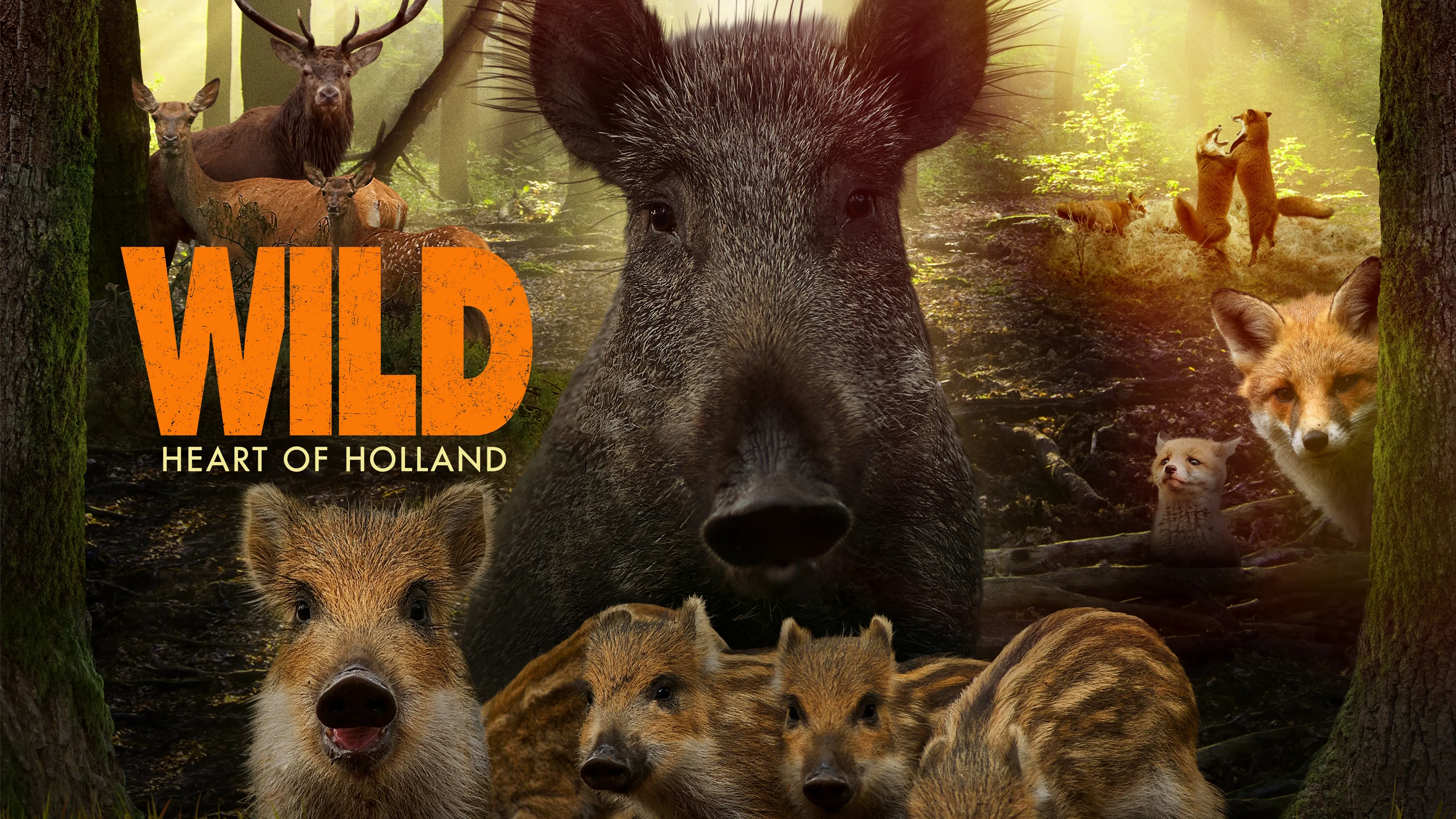 Wild (2018)