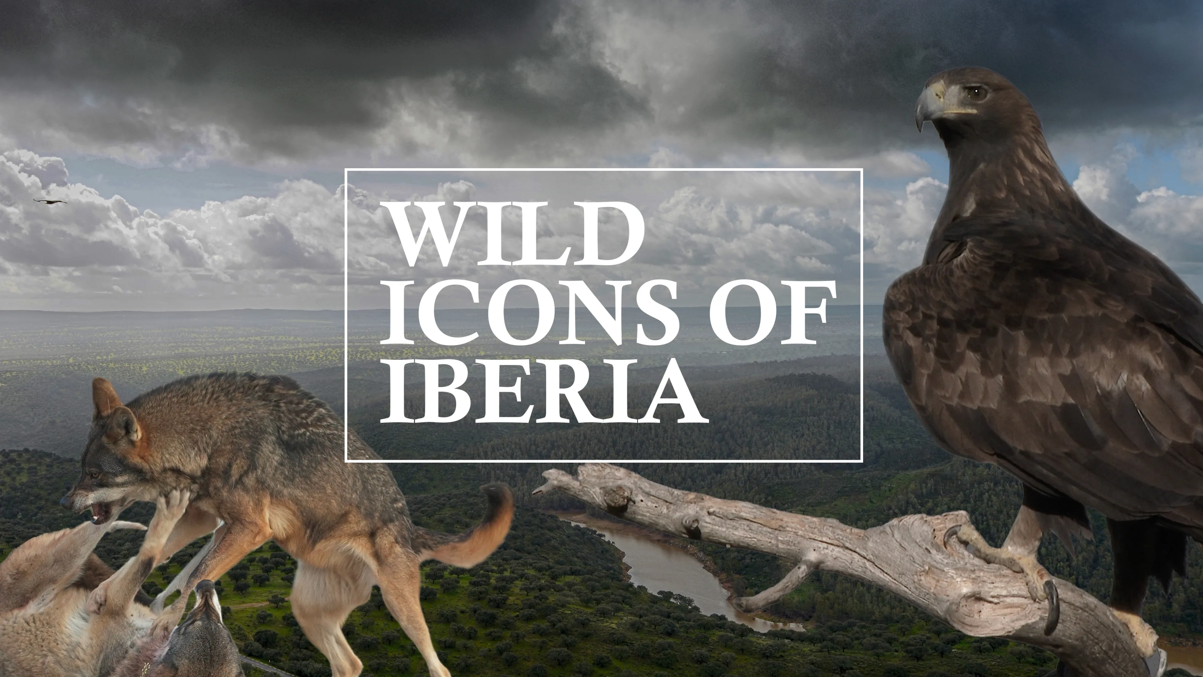 Wild Icons of Iberia (2022)