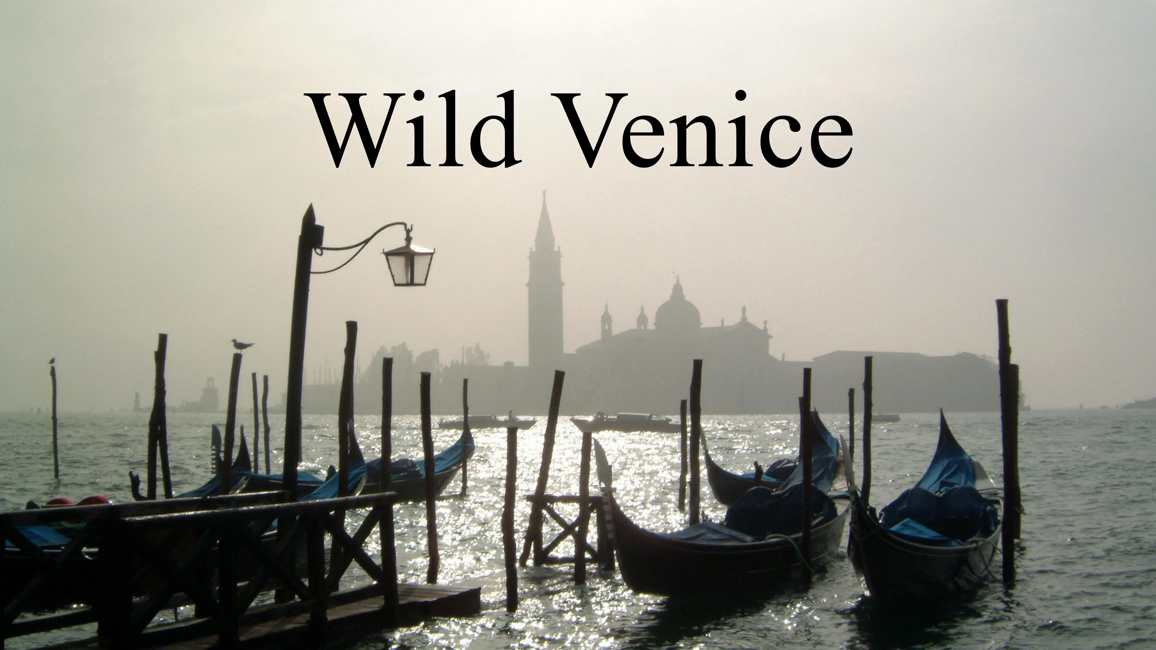 Wild Venice (2015)