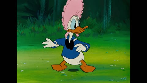 Don's Fountain of Youth (1953)